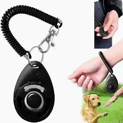Training Clicker