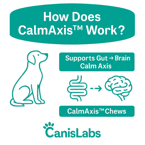 CalmAxis™ Postbiotic Chews -