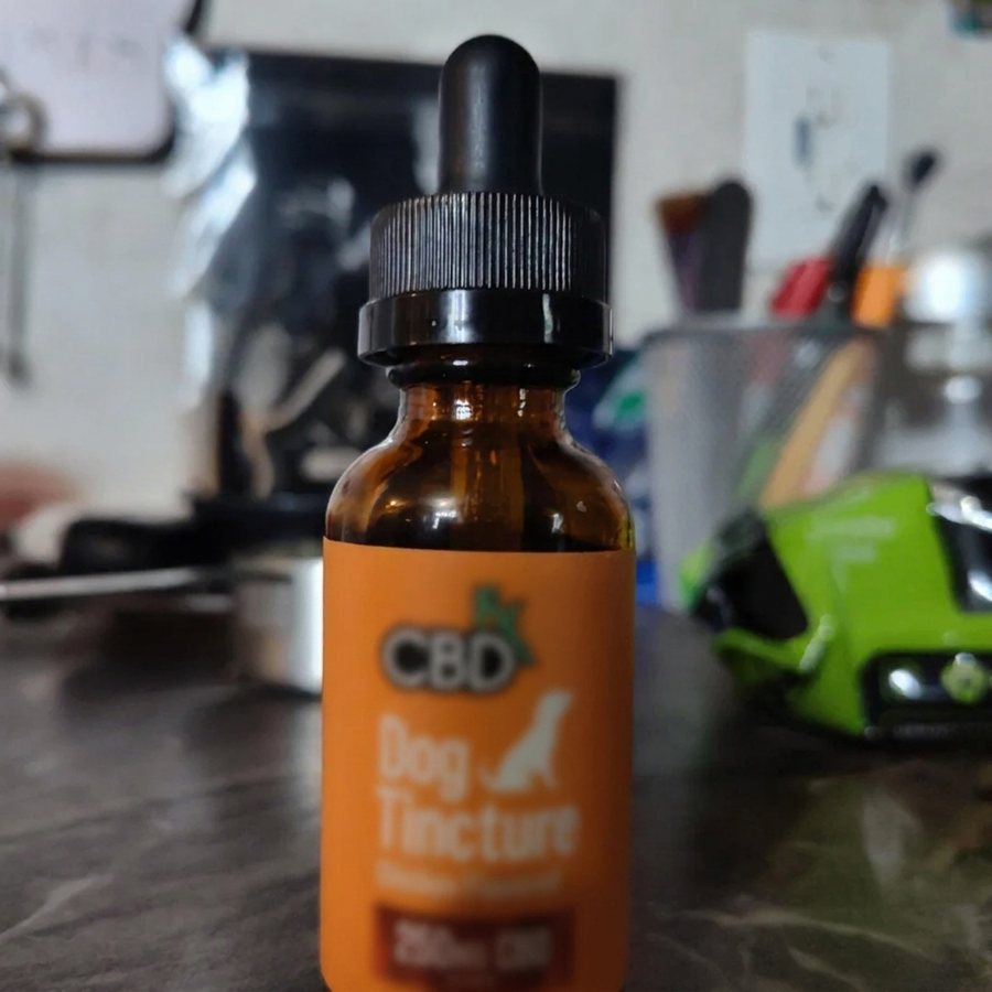 A bottle of CBD dog tincture standing on a kitchen worktop